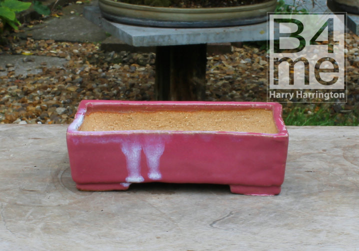 sweden thor holvila bonsai pot